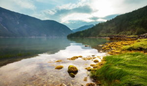 Bella Coola Coastal Hiking Feature