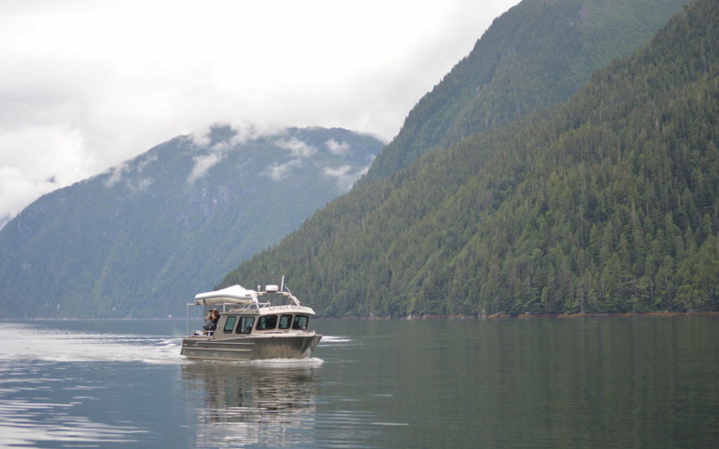 Tourism road in Great Bear Rainforest