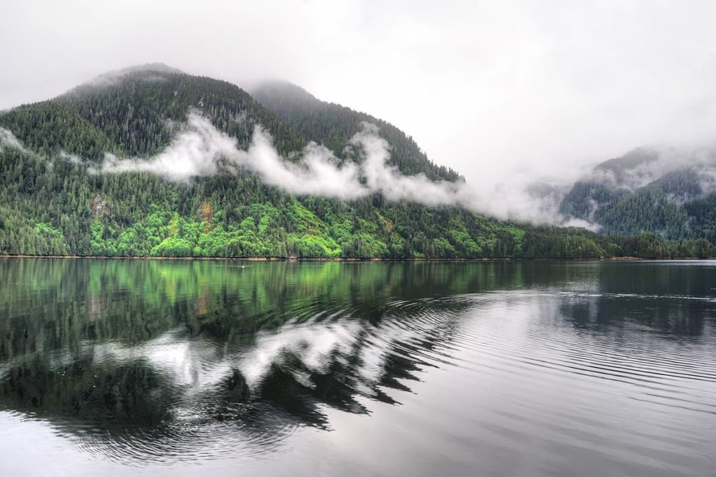 Waters surrounding dense green forests with fog in the sky